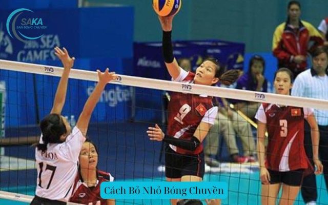 Cách Bỏ Nhỏ Bóng Chuyền hay