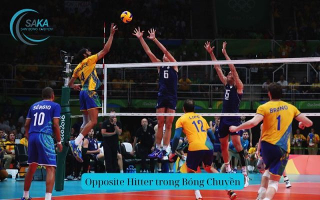 Opposite Hitter trong Bóng Chuyền