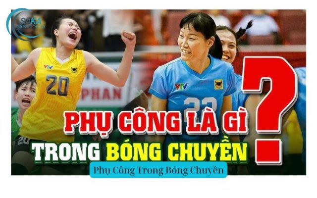 Phụ Công Bóng Chuyền
