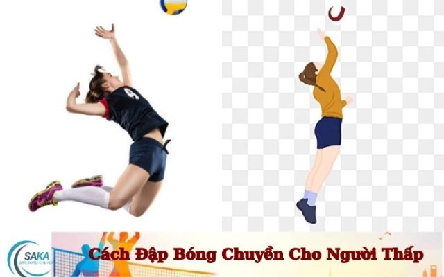 Cách Đập Bóng Chuyền Cho Người Thấp